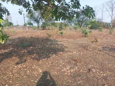 Image of 1250 Sq.ft 2 BHK Independent House for sale in Sakri, Bilaspur for Rs. 4000000