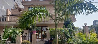 Image of 3000 Sq.ft 3 BHK Builder Floor for rent in Sigma 1, Greater Noida for Rs. 30000