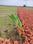Sunanda infra projects  Main Image 1