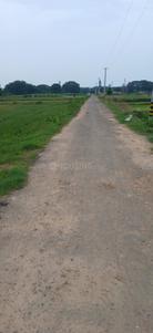 Image of 1200 Sq.ft Residential Plot / Land for sale in Nachhipur, Saindha, Cuttack for Rs. 1500000