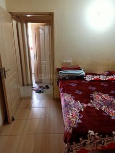 Bedroom Image of 975 Sq.ft 2 BHK Apartment / Flat for rent in Bestech Park View Delight, Sector 7 Dharuhera for Rs. 11000