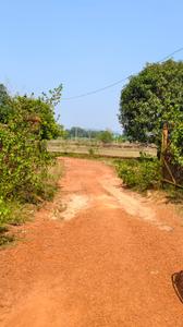 Image of 1950 Sq.ft Residential Plot / Land for sale in Kantabada, Bhubaneswar for Rs. 4700000