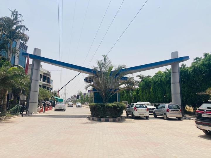 Divine World Main Image 1