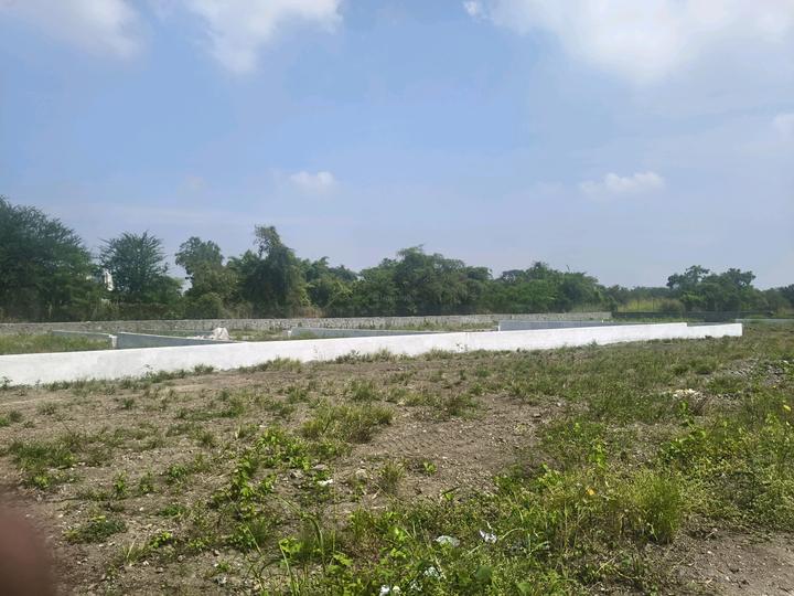 Goldmark Shrishti Main Image 1