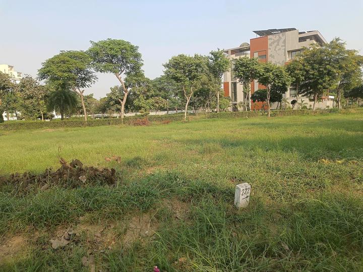 Uppal Gurgaon 99 Main Image 1