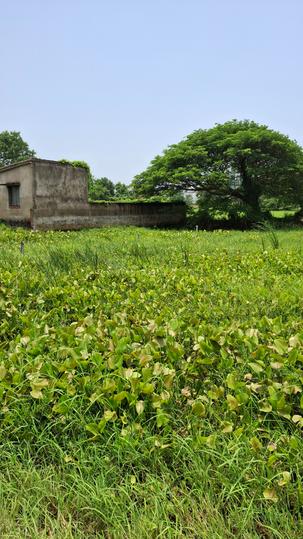 Atharanala Main Image 1