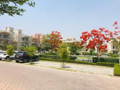 Image of 172 Sq.ft Residential Plot / Land for sale in BPTP Amstoria , Sector 102, Gurgaon for Rs. 68500000