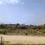 Mubarakpur Main Image 1
