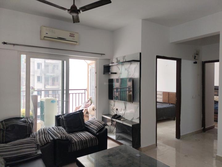 ACE Divino Main Image 1