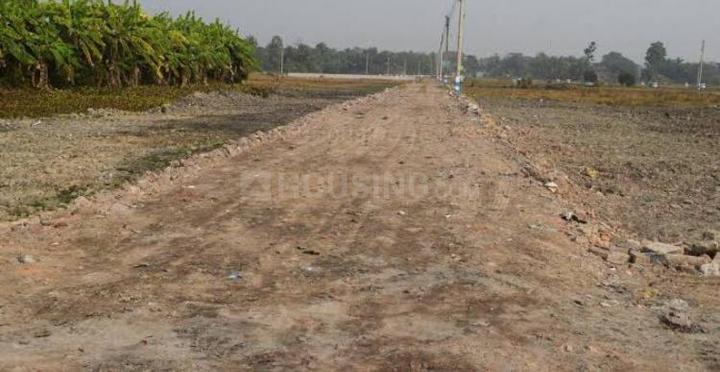 Palaspa Main Image 1