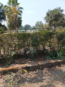 Tejaji Nagar Plot View 3