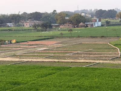 Gangapur Plot View 3
