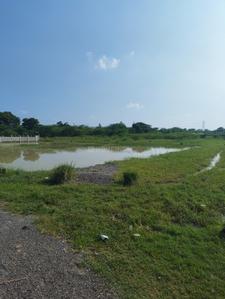 Image of 2000 Sq.ft Residential Plot / Land for sale in Mohanlalganj, Lucknow for Rs. 3000000