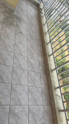 Image of 950 Sq.ft 2 BHK Apartment / Flat for rent in Rise Organic, Wave City, Ghaziabad for Rs. 20000