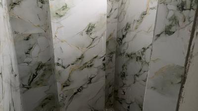 Image of 1050 Sq.ft 2 BHK Apartment / Flat for sale in Green Leaf, Rajarhat, Kolkata for Rs. 4725000