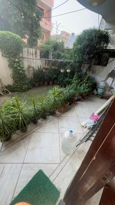 Image of 1500 Sq.ft 3 BHK Builder Floor for rent in Sector 50, Noida for Rs. 40000
