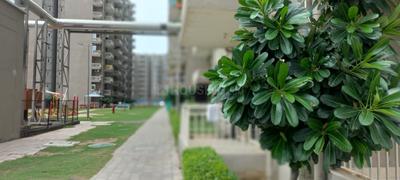 Image of 875 Sq.ft 3 BHK Apartment / Flat for sale in Conscient Habitat Residences, Sector 78, Faridabad for Rs. 7050000