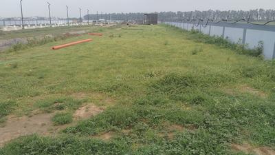 Image of 1058 Sq.ft Residential Plot / Land for sale in SDJS Royal City, Badsa, Jhajjar for Rs. 7650000