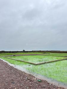 Image of 1000 Sq.ft Residential Plot / Land for sale in Naya Raipur, Raipur for Rs. 500000