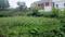 jwalpa enclave mohkampur Main Image 1