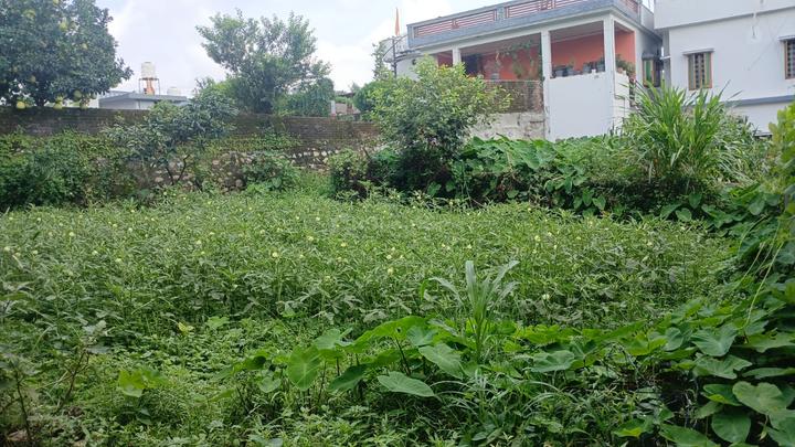 jwalpa enclave mohkampur Main Image 1