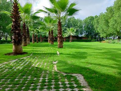 Image of 1500 Sq.ft Residential Plot / Land for sale in Sejbahar, Raipur for Rs. 2800000