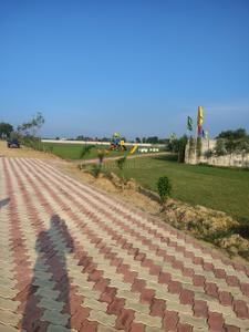 Image of 1054 Sq.ft Residential Plot / Land for sale in Chandpur Bichpuri, Bareilly for Rs. 5700000