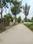 Apparent JB Garden Internal Roads 1