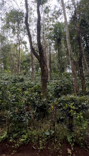 Puttur Taluk Main Image 1