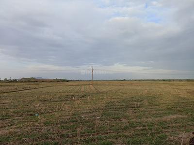 Agricultural Land