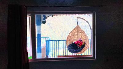 Bedroom Image of 7560 Sq.ft 4.5 BHK Villa for sale in Mukteshwar Nainital for Rs. 39000000