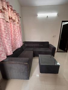 Hall Image of 900 Sq.ft 1 BHK Apartment / Flat for rent in Palasia Indore for Rs. 18000