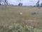 KHB Main Image 1