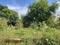 Sunrise Residency Plot View 2