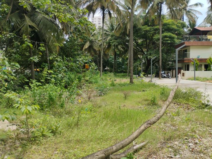 Classic orchid layout Main Image 1