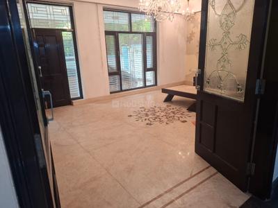 Hall Image of 5500 Sq.ft 6 BHK Independent House for rent in Sector 35 Noida for Rs. 150000