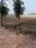 Bodakdev Plot View 2