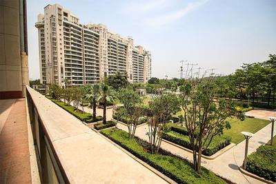 Balcony Image of 3000 Sq.ft 4 BHK Apartment / Flat for sale in DLF The Belaire, DLF Phase 5 Gurgaon for Rs. 125000000