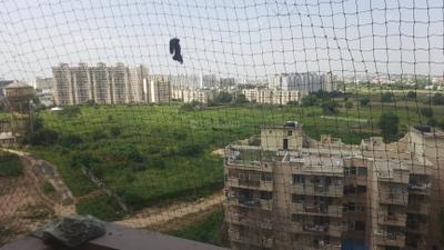 Image of 550 Sq.ft 1 BHK Apartment / Flat for sale in Star Realcon The Essentia, Milakpur Goojar, Bhiwadi for Rs. 2050000