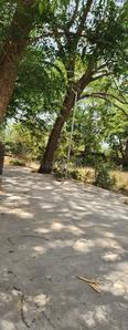 SHREE Ram Plot View 2