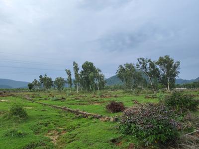 Image of 200 Sq.ft Residential Plot / Land for sale in Mamidilova, Visakhapatnam for Rs. 5399800