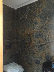 Common Bathroom Image of 2400 Sq.ft 4 BHK Builder Floor for sale in Shahpur Gurgaon for Rs. 53500000