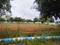 Srushti Silver Woods Main Image 1