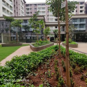 Image of 733 Sq.ft 2 BHK Apartment / Flat for sale in Kohinoor Viva City, Dhanori, Pune for Rs. 7500000