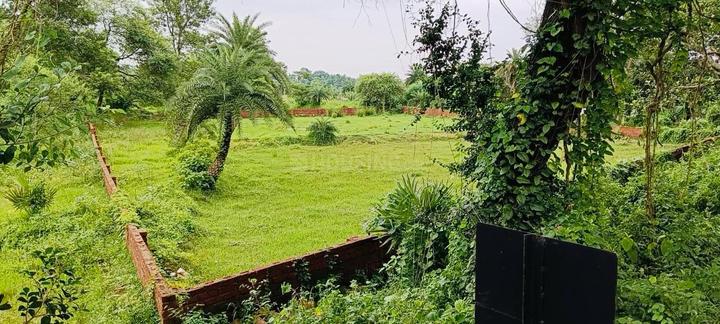 Santiniketan Main Image 1