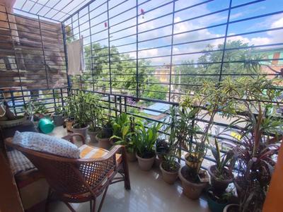 Balcony Image of 1320 Sq.ft 3 BHK Apartment / Flat for sale in Bagharbari Guwahati for Rs. 5900000