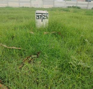 Image of 148 Sq.ft Residential Plot / Land for sale in Alpha Alpha International City, Alpha International City, Karnal for Rs. 11000000