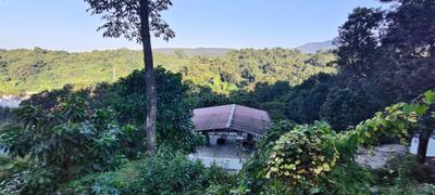 Image of 900 Sq.ft Residential Plot / Land for sale in Malsi, Dehradun for Rs. 3500000