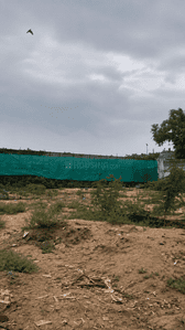 Residential Plot