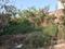 Block D Plot View 1